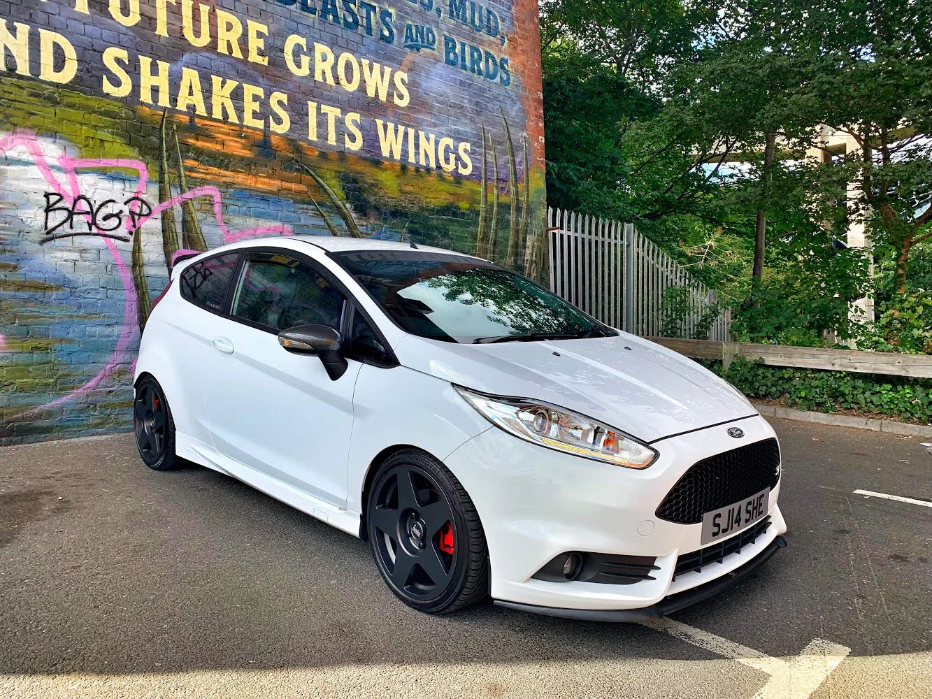 Ford Fiesta MK7/7.5 Wing Mirror Covers in Carbon Fibre Look (2008-2017 Models) - Image 6