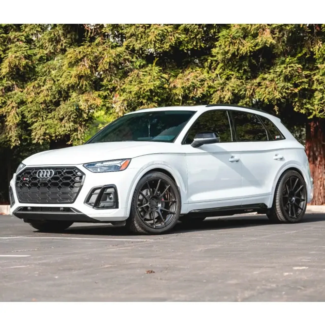 034 Motorsport Dynamic+ Lowering Springs - B9/B9.5 Audi SQ5 - Image 2
