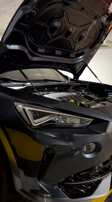 ELEVATE Cupra Formentor Gas Bonnet/Hood Struts (2020 + Models)