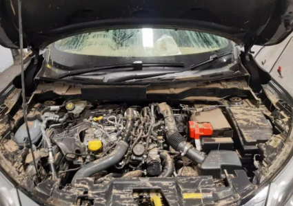 ELEVATE Nissan Juke F16 Gas Bonnet Struts (2019-2020 Models)